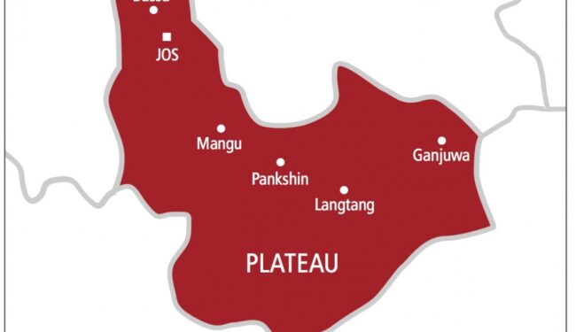 Plateau PHCs general hospitals, Police officer chops off pregnant wife's hand in Plateau