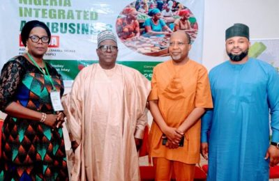 Small-scale farmers key to attaining food security — NABG