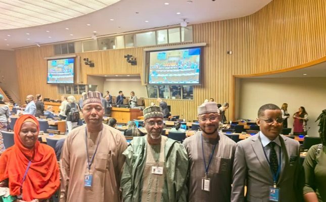 Zulum calls for revival of Sambisa forest