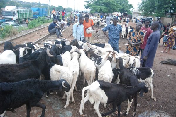 24 hours to sallah, Muslims groan over killing cost of rams, other items