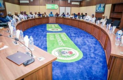 36 govs meet in Abuja over new minimum wage, LG autonomy