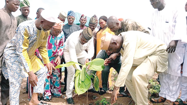 FG to engage 1200 youths annually to plant 2 million trees in 24 LGs nationwide