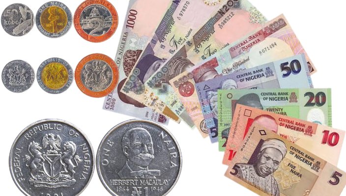 From 1958 till date: Everything you need to know about Naira evolution