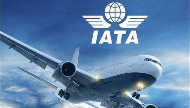 IATA predicts an inventory of 38.7 million flights in 2024