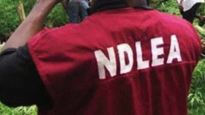NDLEA Arrests Two Lagos Airport Passengers For Ingesting 150 Wraps Of Cocaine