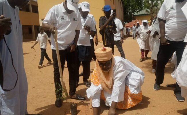 NNPC foundation plants 500 trees to mitigate deforestation, climate change