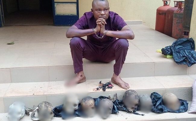  Police nab 31-year-old man with eight human skulls in Ondo