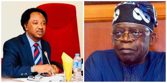 Shehu Sani to Northern Leaders: Plots to unseat Tinubu