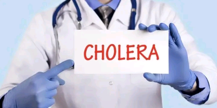 "Stop Taking Rain Water" - Kano Govt Warns Residents Amid Cholera Outbreak