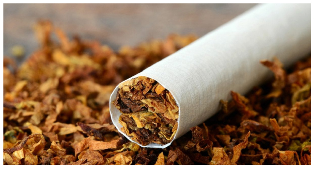 Tobacco responsible for over 8 million deaths yearly – Anatomy professor