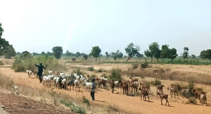Violent Clashes Erupt Between Herders, Farmers In Jigawa, Eight Injured