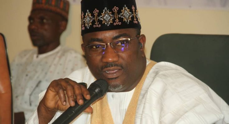 Bauchi laments illegal felling of trees for charcoal production
