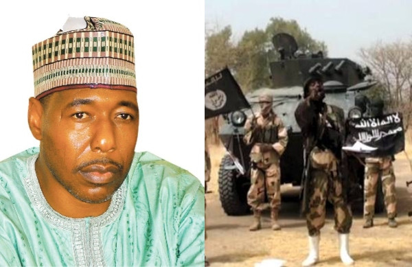 Borno Govt Reintegrates 8,490 Repentant Boko Haram Members