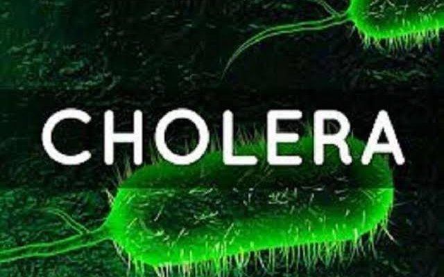 Cholera Cases Surge In Nigeria; 2,809 Recorded Across 33 States