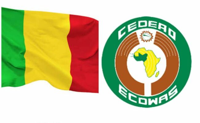 ECOWAS exit irreversible — Mali foreign minister