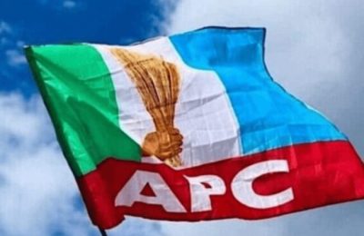 Economy: We’re busy clearing your rots, APC tells PDP govs