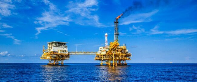 FG urged to partner PPS for diversification from oil, gas sector