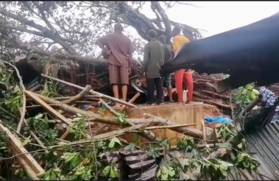 Four Feared Killed As Trees Fall In Edo Market During Heavy Downpour (Video)