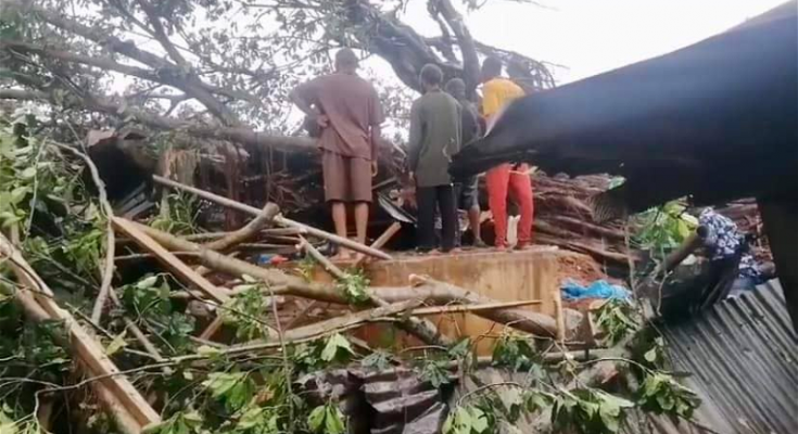 Four Feared Killed As Trees Fall In Edo Market During Heavy Downpour (Video)