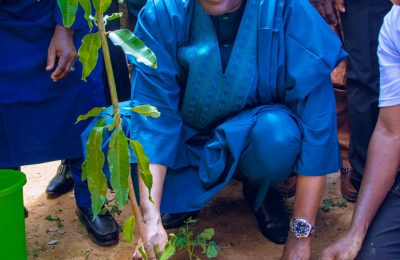 Gombe gov flags-off 2024 tree planting campaign
