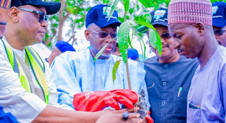 Jigawa govt desilts 72km, distributes 5.5 million tree seedlings