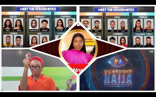 Meet 28 Contestants Of BBNaija Season Nine, 'No Loose Guard’