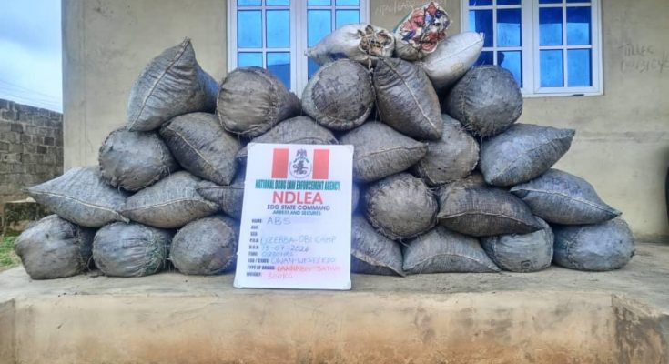 NDLEA Intercepts Cocaine, Opioids Concealed In Shoe Soles, Custard Containers