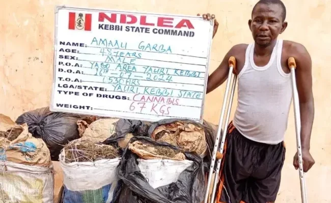 NDLEA arrests one-legged man with 67kg cannabis in Kebbi