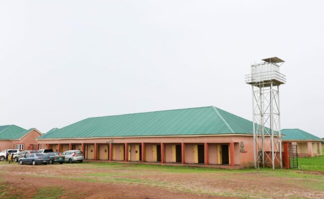 NEDC commissions, hands over modern cattle market to Bauchi govt