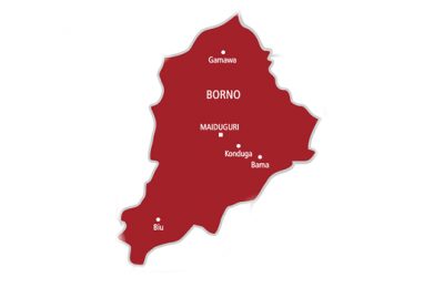 Borno govt releases N55.9m for 153 medical students’ fees