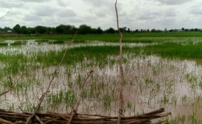 Over 1,000 persons displaced as flood sacks Sokoto communities