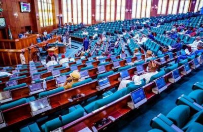 Reps: Bill on National Youth Welfare Scheme Fund scales through second reading 