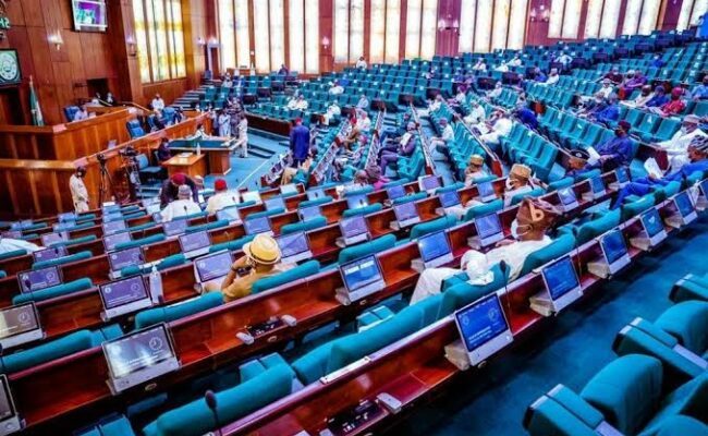 Reps: Bill on National Youth Welfare Scheme Fund scales through second reading 