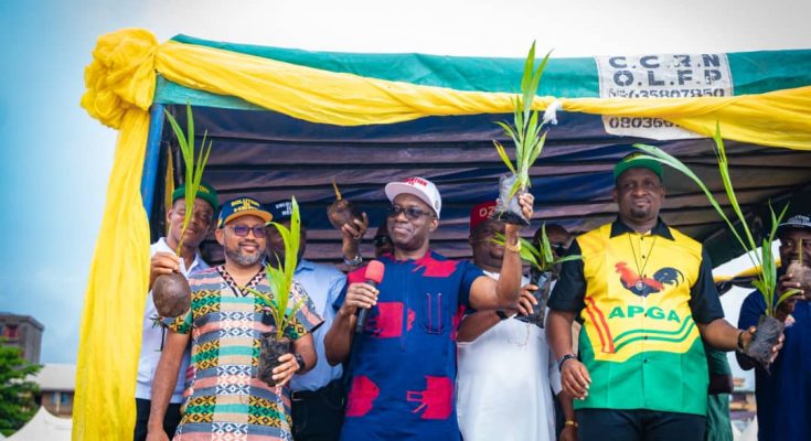 Soludo distributes over one million cash crops seedlings in Anambra