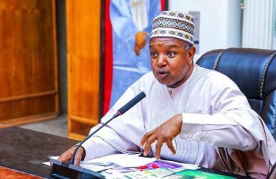 Economic loss of protests can't be estimated — Minister Bagudu