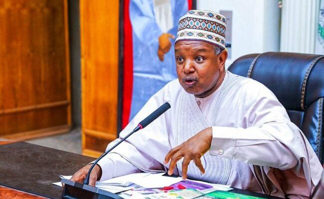 Economic loss of protests can't be estimated — Minister Bagudu