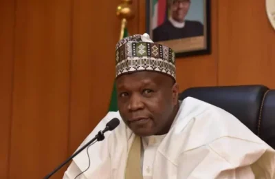 Gombe govt bans illegal mining activities