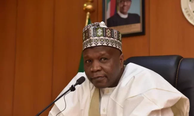 Gombe govt bans illegal mining activities