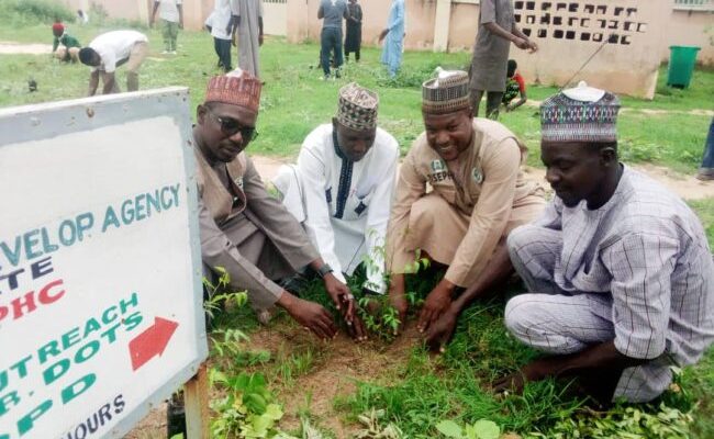 Jigawa govt, UNICEF launch tree-planting campaign