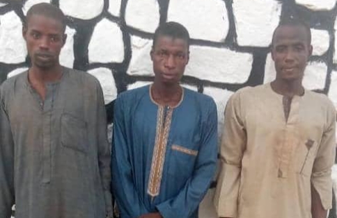 Kaduna Police Nab Cattle Rustlers, Notorious Gunrunners (Pictures)