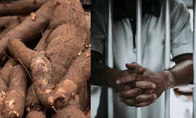 Man jailed nine months for stealing two tubers of yam