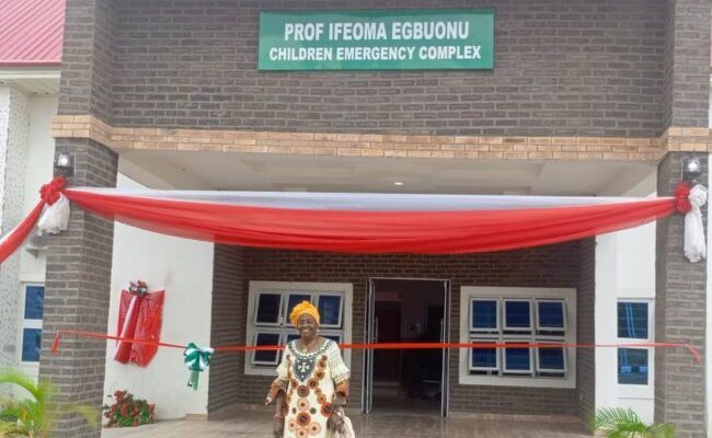 NAUTH Nnewi honours Prof Egbuonu for contributions