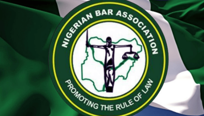 NBA condemns looting of public facilities in Dutse