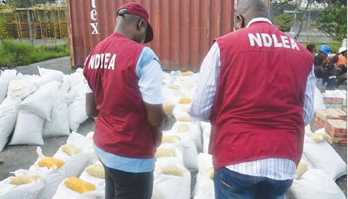 NDLEA Commander Urges Mandatory Drug Tests Before University Admission