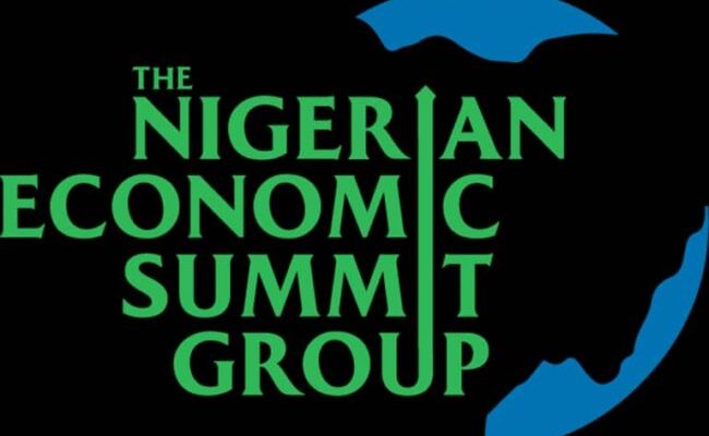 NESG inaugurates advisory council to champion economic reforms