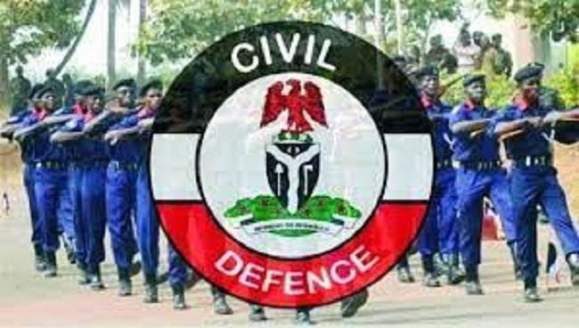 NSCDC Arrests Nine Railway Vandals In Bauchi