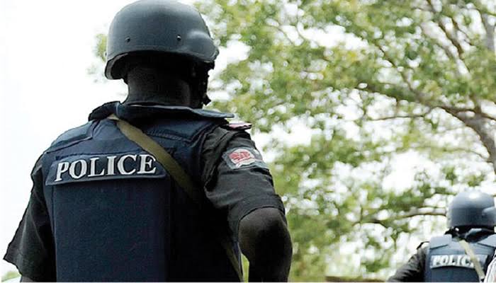 Police Detains 90 Suspects For Looting, Recovers Stolen Items In Gombe