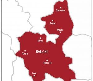 Police nab man for alleged kidnap in Bauchi