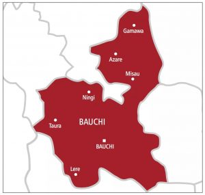 Police nab man for alleged kidnap in Bauchi