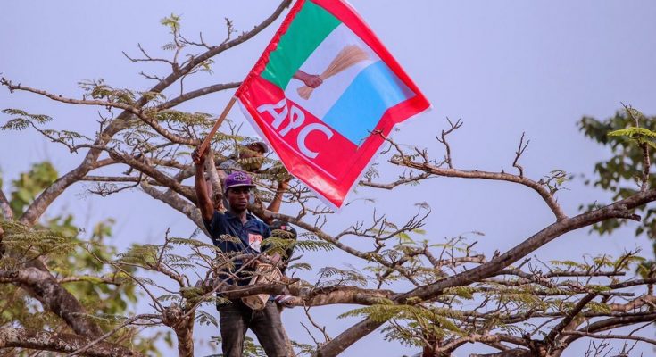 APC flag